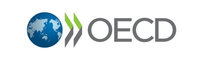 OECD Due Diligence